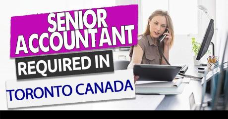 Senior Accountant