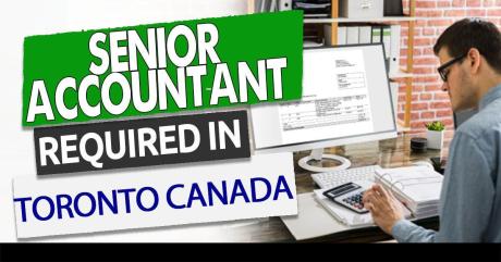 Senior Accountant