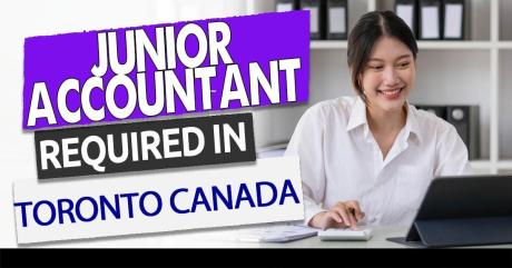 Junior Accountant