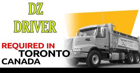 Dz driver dump truck