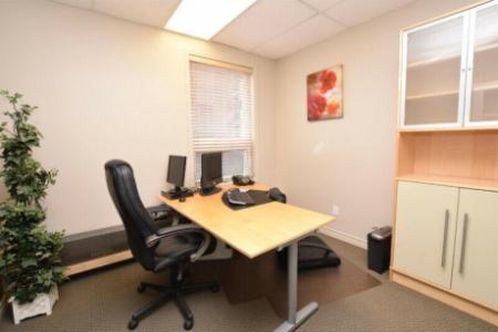 Mississauga - Streetsville – professional space for lease