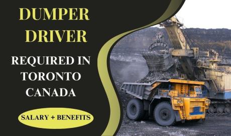 Dumper Driver
