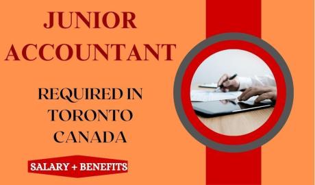 Junior Accountant