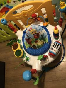 Baby Einstein Jumper $40.00