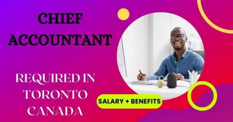 Chief Accountant
