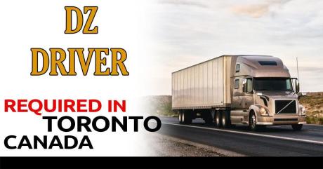 DZ Truck Driver