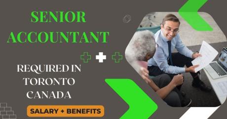 Senior Accountant