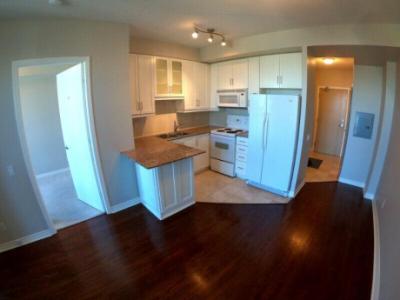 1 bedroom luxury condo. $1750.00 per month. Yonge and Finch. $1,750.00