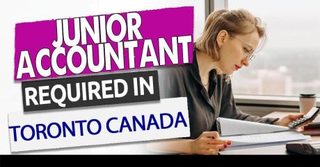 Junior Accountant