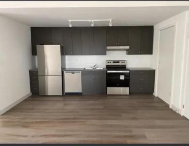 37 Antrim brand-new suites now leasing!