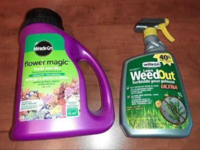 Brand New WeedOut & Miracle Gro flower Seed Mix