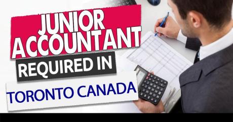 Junior Accountant