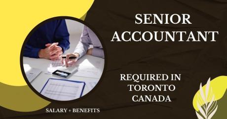 Senior Accountant