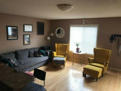 1 Bedroom+Den Walkout Basement Suite Silverberry SE Edmonton