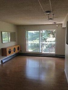 Beautiful, Quiet, TOP FLOOR Condo for RENT in EDMONTON Feb. 1