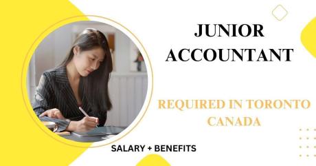 Junior Accountant