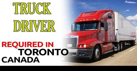 Truck driver female partner need for Punjabi female partner
