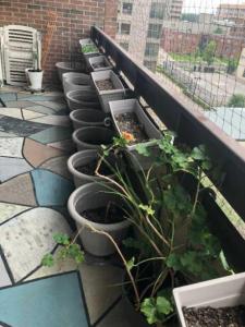 Outside plant holders with accessories included