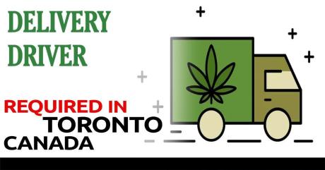 Delivery driver needed in scarborough