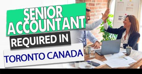 Senior Accountant