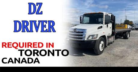 Dz driver needed