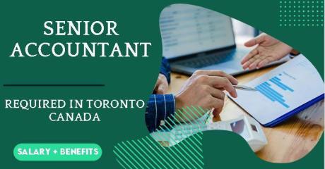 Senior Accountant