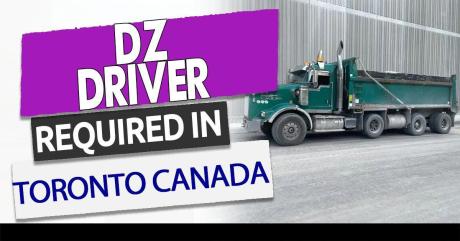 Dz driver needed