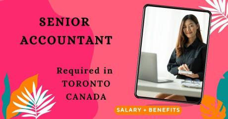 Senior Accountant