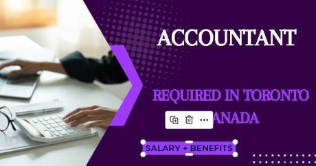 Accountant