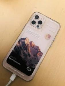 iPhone 12 Pro 256G Unlocked Gold/Silver