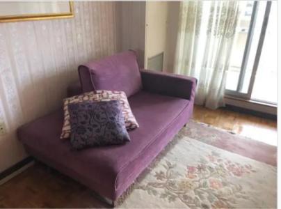 Sofa set - 2 pieces excellent condition
