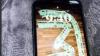 Wanted: BRAND NEW IPHONE 11 CASH , ET OR TRADE