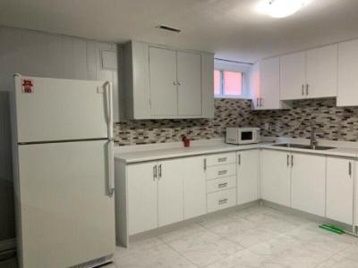 2 Bedroom renovated walkout basement Apartment for
