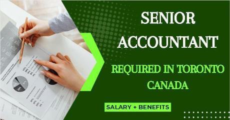 Senior Accountant