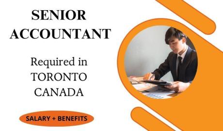 Senior Accountant