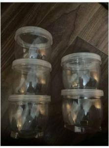 Free - 5 stackable containers