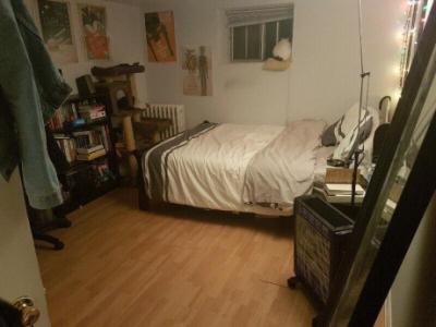 Bloor and Bathurst Large Basement Room for Rent