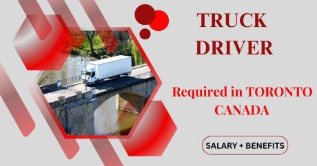 Truck Driver