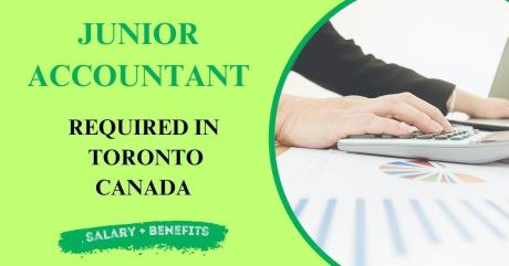 Junior Accountant