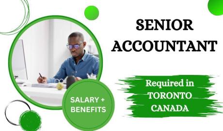 Senior Accountant