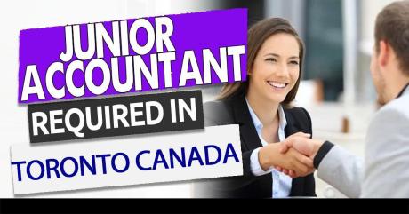 Junior Accountant