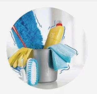 The Best Professional Home Cleaning Services - (416) 704-4586