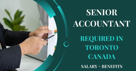 Senior Accountant