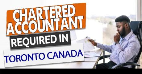 Chartered Accountant